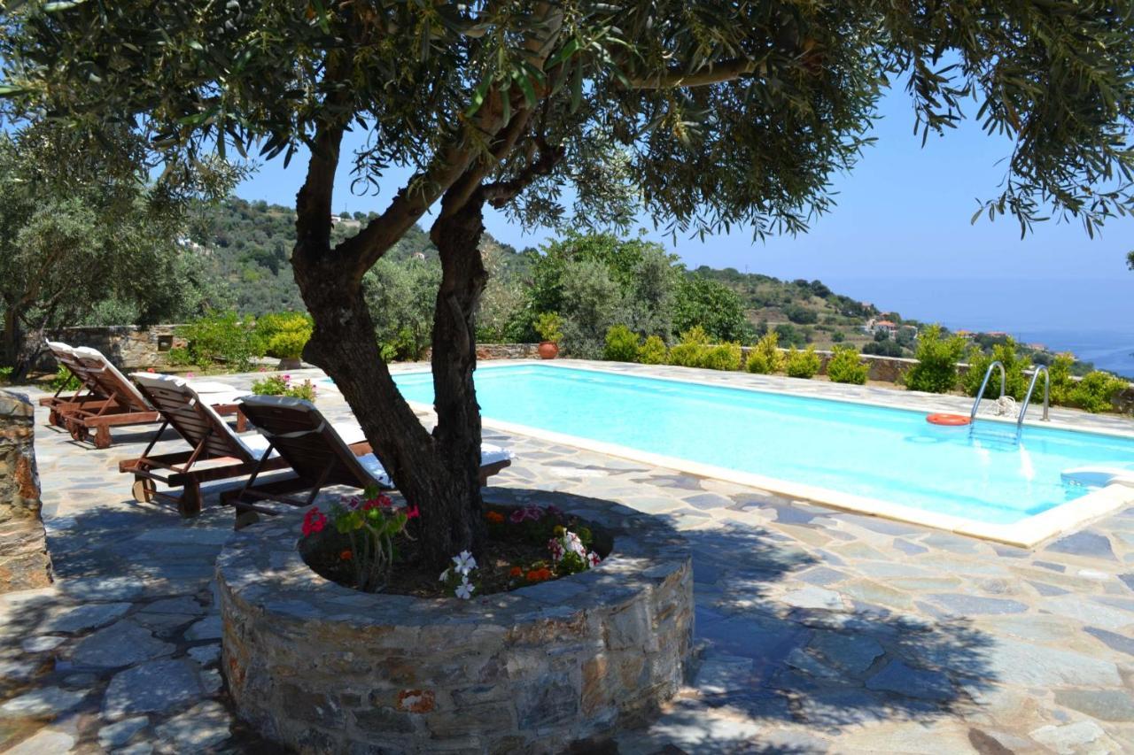 Danai Villa Città di Skopelos Esterno foto